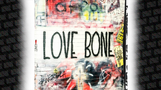 Mother Love Bone: fãs poderão conferir caixa com material raro