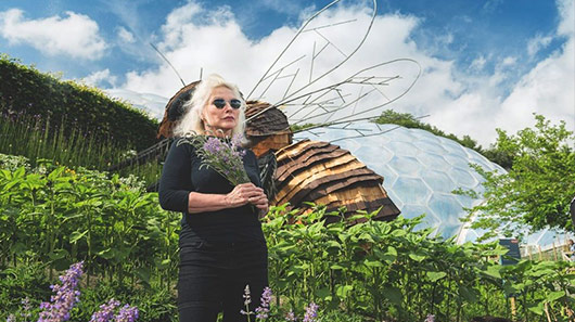 Debbie Harry inicia campanha para salvar as abelhas