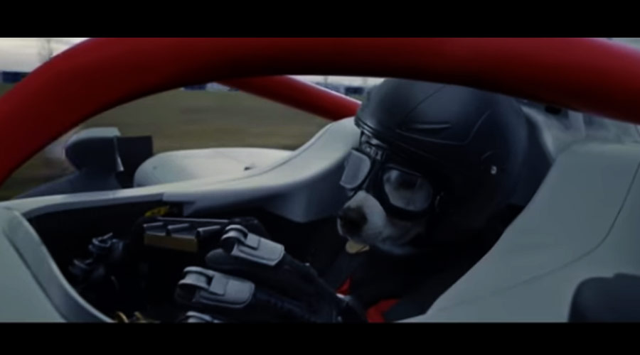 The Chemical Brothers apresenta cão piloto em música tema da Fórmula 1