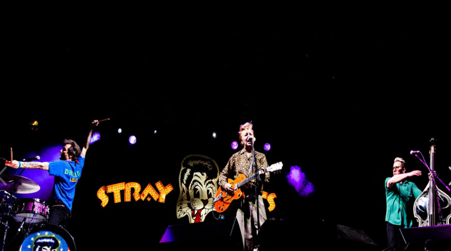 Stray Cats se reúne para comemorar 40 anos! Ouça 1º single de novo disco