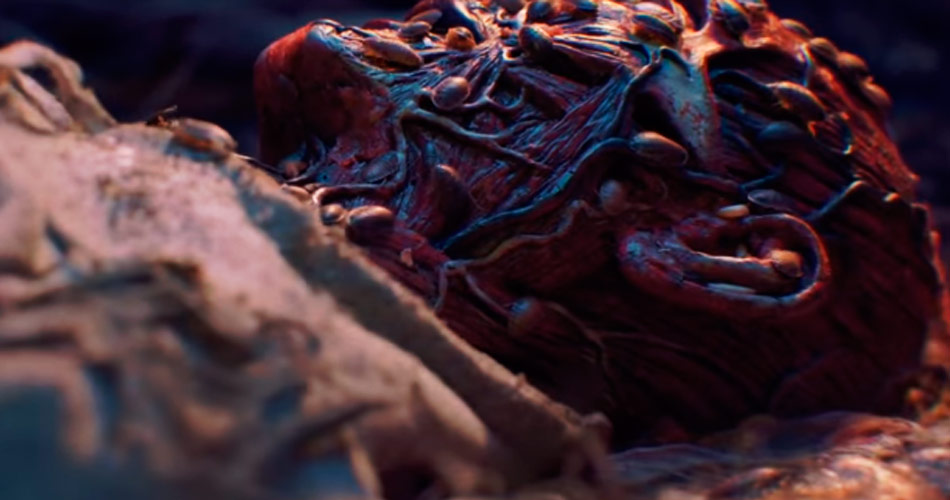 Novo clipe de Dan Deacon mostra corpo sendo devorado por larvas