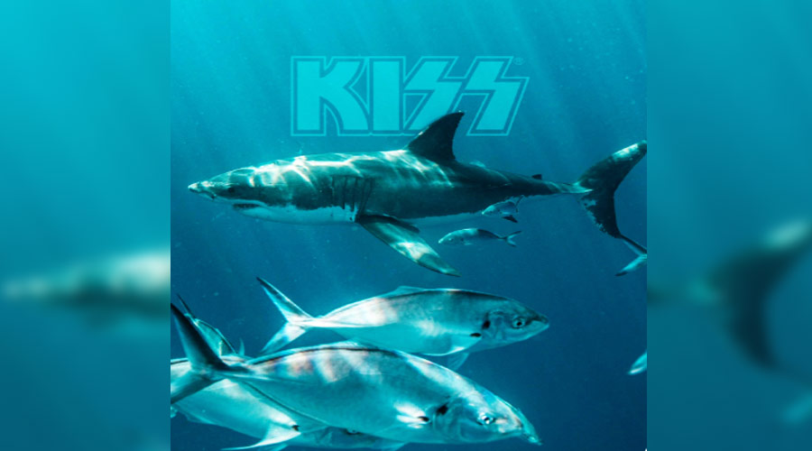 Kiss prepara concerto oceânico para atrair tubarões