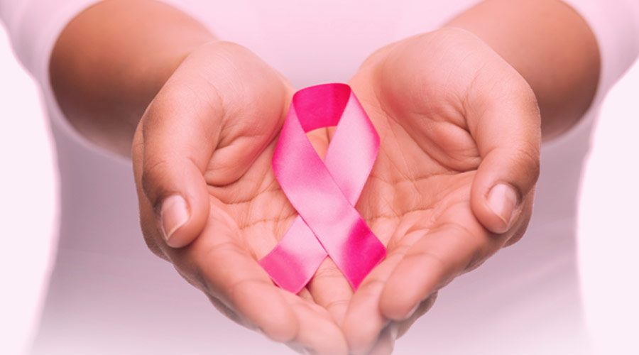 Outubro Rosa: ONG oferece mamografias gratuitas para quem precisa