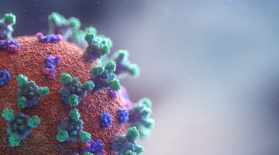 Cientistas brasileiros estão desenvolvendo vacina contra novo coronavírus