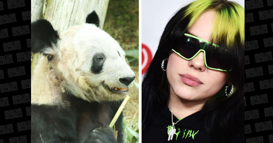 Billie Eilish abraça campanha para salvar pandas vítimas de maus-tratos