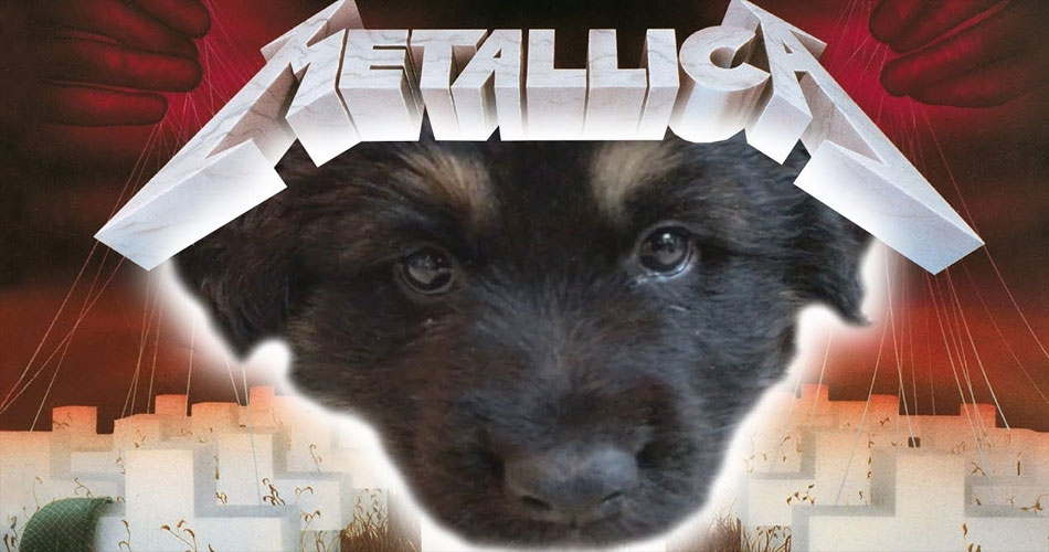 Cachorra foge de casa para ir ao show do Metallica