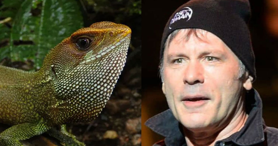 Nova espécie de lagarto peruano recebe nome de Bruce Dickinson
